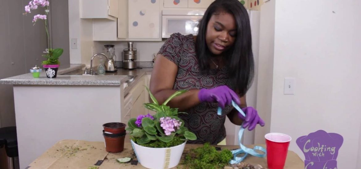 Cooking With Carlina - Make Your Own Garden