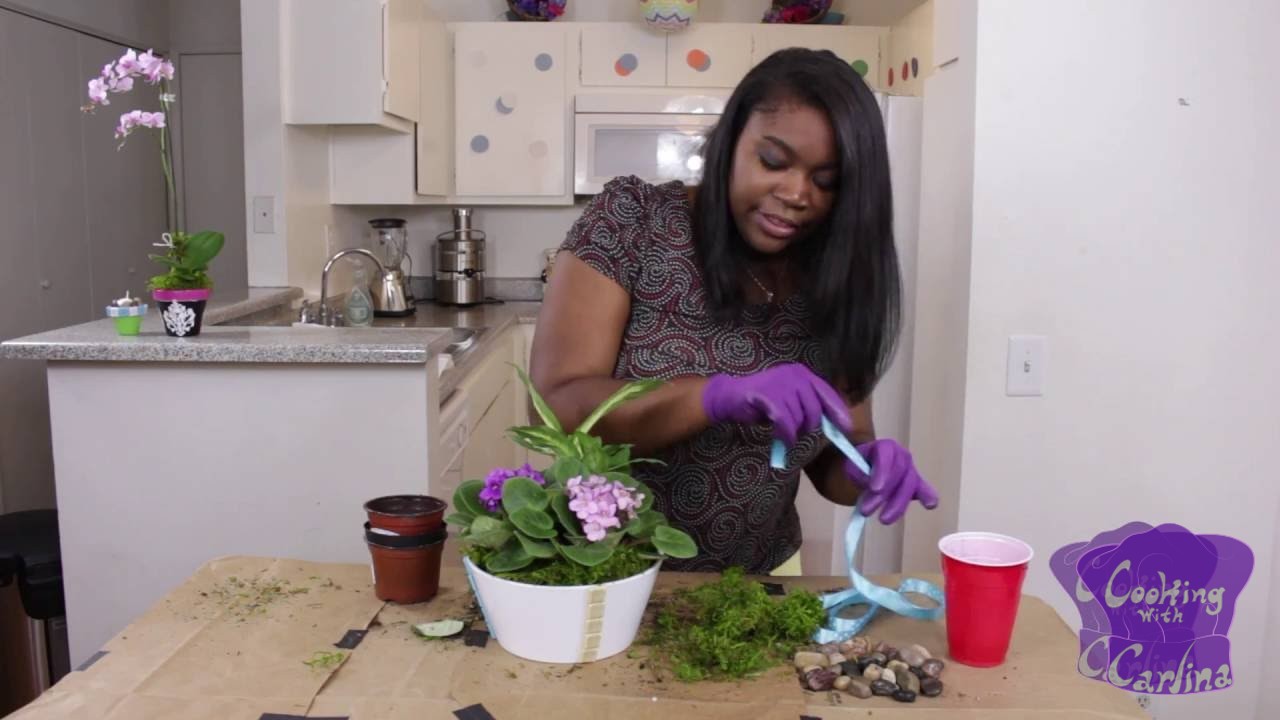 Cooking With Carlina - Make Your Own Garden